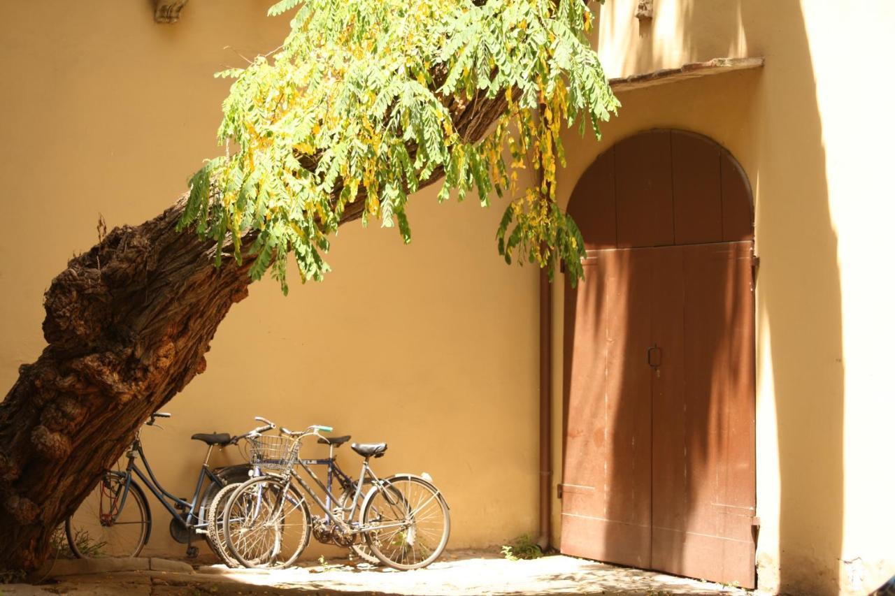 Acacia Firenze - Primula Apartment Room photo